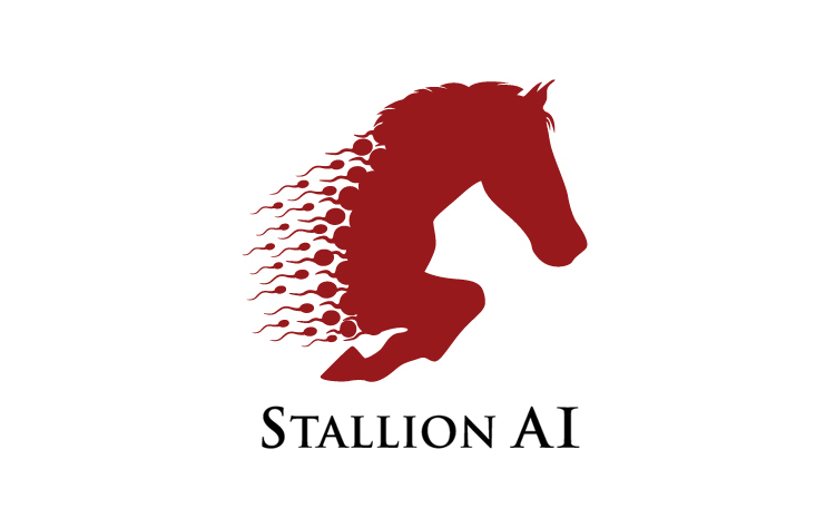 Stallion AI Services